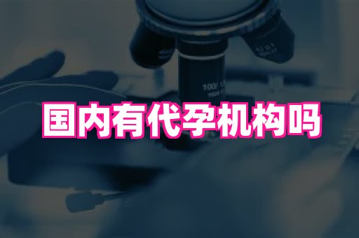 江苏助孕网 3